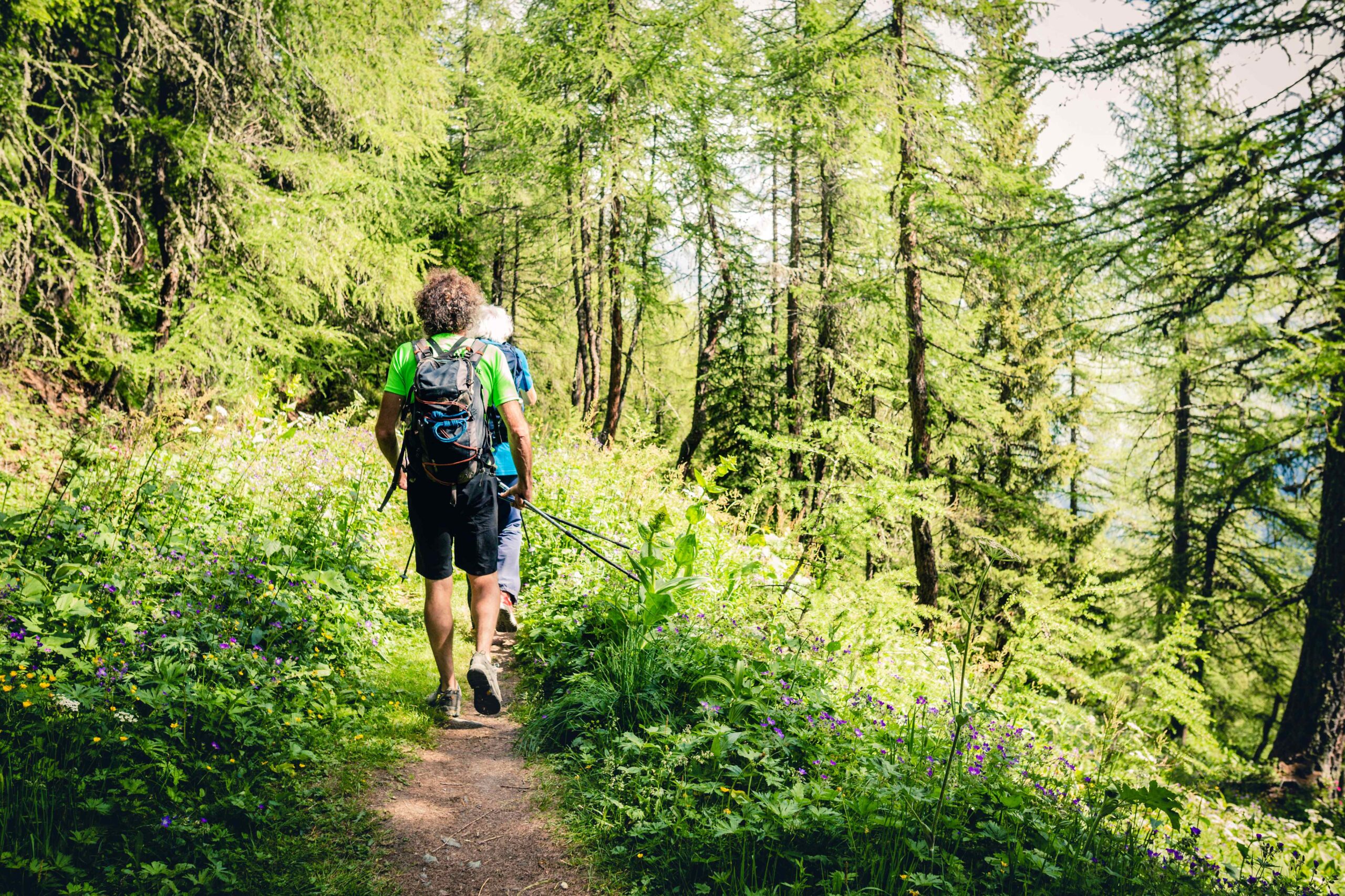 ein wanderer in einem Waldgebiet